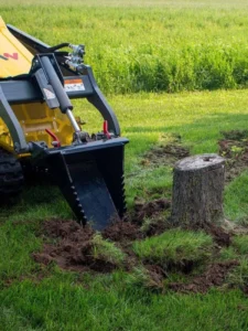 Stump and tree attachments category image